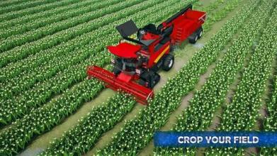 Tulip Farming Simulator - Holland Farmer Sim截图1