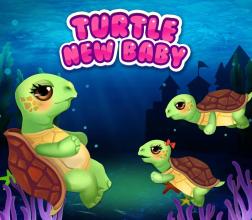 Turtle Mommy New Baby is Born!截图5