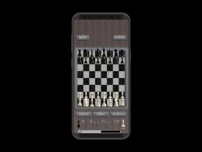 Chess kings board截图5