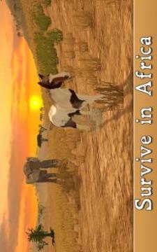 非洲马模拟器3D截图