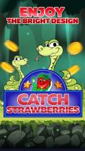 Catch the Strawberry截图2