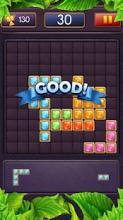 100! Jewel Block Puzzle 2018截图2