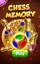 Color Memory Chess截图4