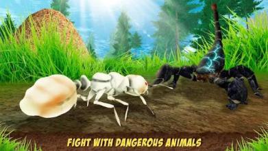 Ant Empire Simulator - Undergrowth Survival截图2