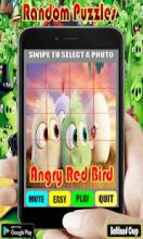 Random Angry Red Bird Puzzles截图5