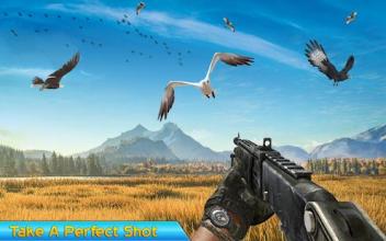 Birds Hunting Challenge截图4