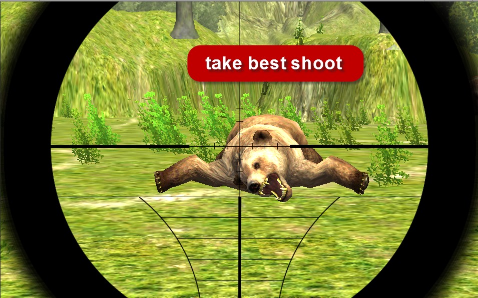 Bear Hunter Expert截图3