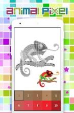 Coloring Animal Pixel Art, By Number截图2