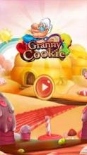 Granny Taste Match Cookies截图3