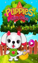 Puppies Care Salon - Animals Care Game截图1