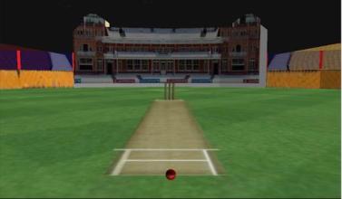 Real Cricket Runout Championship截图5