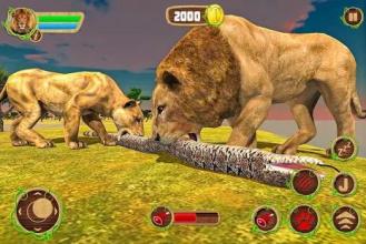 Furious Lion Vs Angry Anaconda Snake: Wild Sim截图3