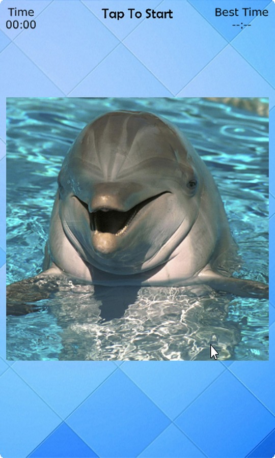 Dolphin Puzzle截图1