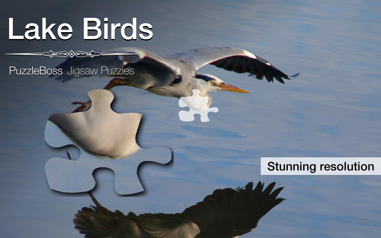 Lake Bird Jigsaw Puzzles截图1