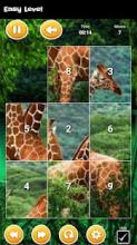 Kid Animal Slide Puzzles截图5