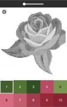 Flower Color By Number, Flower Coloring Book截图4