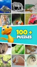 1000 Pics Puzzle -Word Puzzle Game with 4 Pics截图5