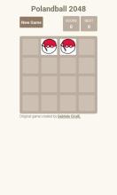 Polandball 2048截图1