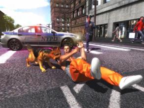 Police Dog Survival截图4