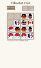 Polandball 2048截图3