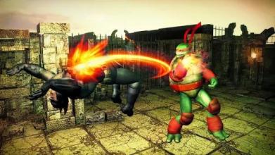 Real Ninja Turtle Street Fighting Games 2018截图4