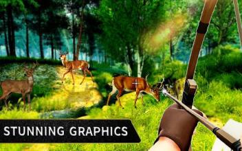 Wild Animal Archery Hunter Bird Shooting Game截图4