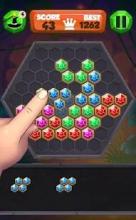 Block Hexa Puzzle (Free)截图2