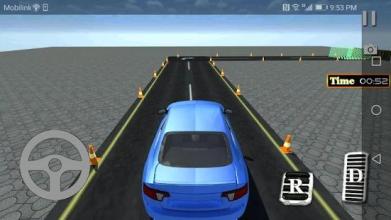 Driving Test Training Pakistan截图2