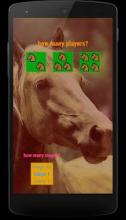 Horses memory game - beautiful photos of horses截图4