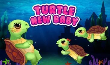 Turtle Mommy New Baby is Born!截图1