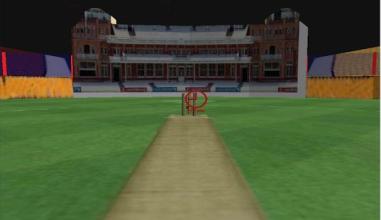 Real Cricket Runout Championship截图2