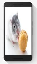 Hamster Puzzle Jigsaw Game截图1