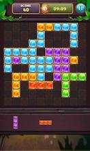 Block Puzzle Gems: Free Puzzles截图2