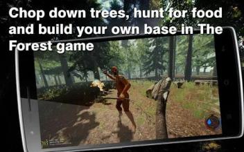 The Forest. Survival Games截图2