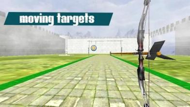 Archery Bow Shooting Challenge截图1