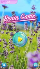 Brain games : Cat : Memory training *Free截图1