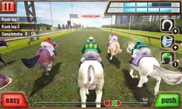 3D赛马 - Horse Racing截图4