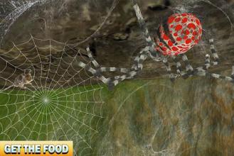Spider Family Nest Simulator 3D截图3