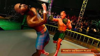 Ninja Punch Boxing Fighter Kung Fu Combat World截图2