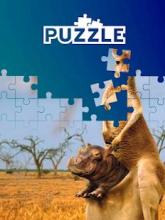 Animals world tile puzzle截图1