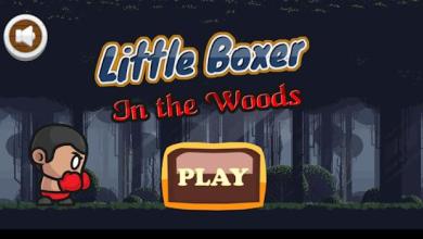 Little Boxer In The Woods截图5