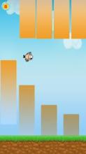 Skip Fly Bird截图2