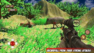 Sniper Animal Hunting Ultimate Safari Survival截图1