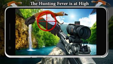 Duck Hunting Game 3d : Real Duck Hunter/ Hunt Duck截图2