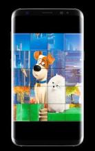 Pets life secret Go toy puzzle截图4