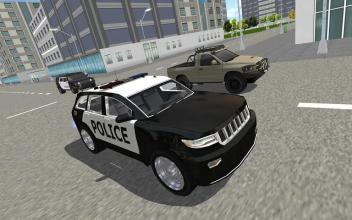 Real Police City Car Chase截图2