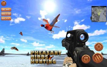 Pheasant Bird Hunting: Wings Sniper Shooting 2018截图3