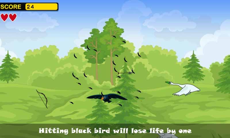 Birds hunting截图4