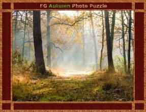 FG Autumn Photo Puzzle截图1