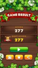 Wood Block Puzzle Master截图5